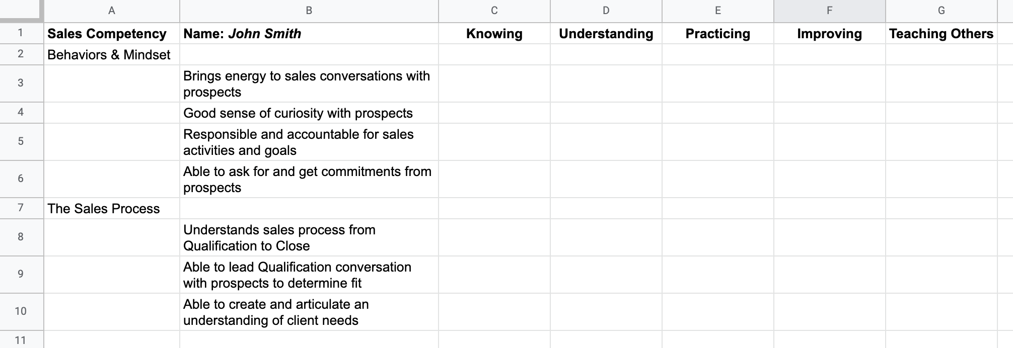 a sample sales competency matrix